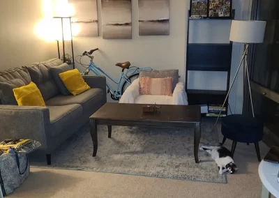 Professional Apartment Cleaning