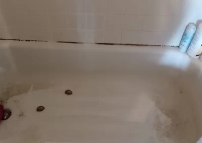 Reliable Bathroom Cleaning