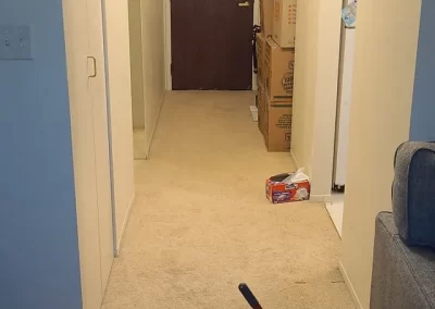 Reliable Regular Cleaning