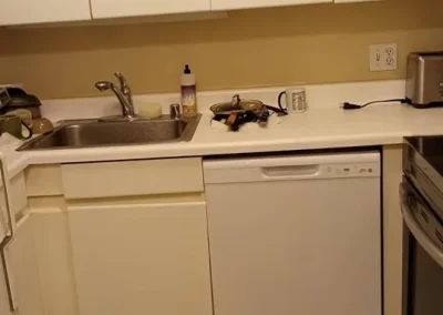 Trusted Regular Cleaning